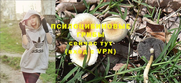 прущая мука Абаза