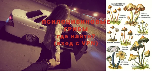 прущая мука Абаза