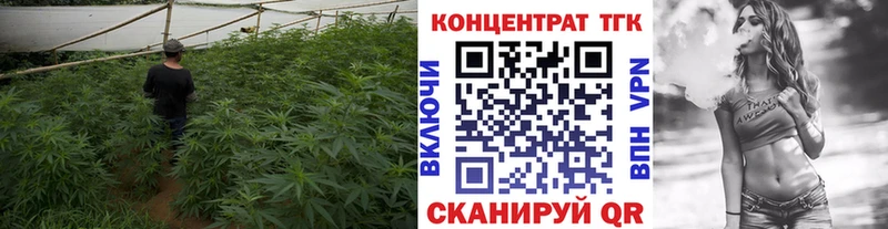 KRAKEN сайт  Егорьевск  ТГК вейп с тгк 