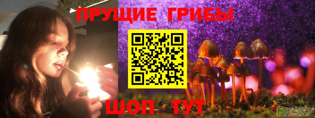 Галлюциногенные грибы Psilocybe  Вход с VPN  где продают наркотики  Егорьевск 